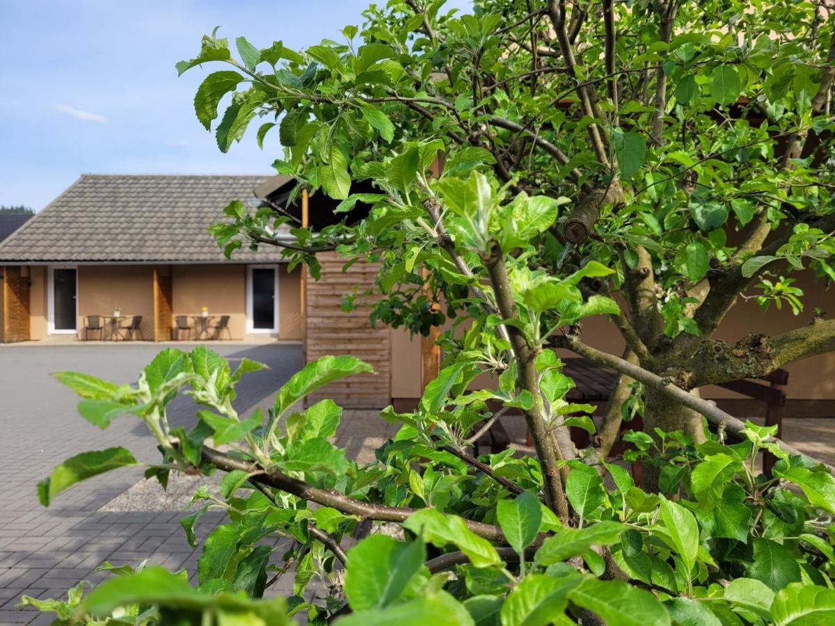 Apartmany Dolosin Velke Losiny Exterior photo